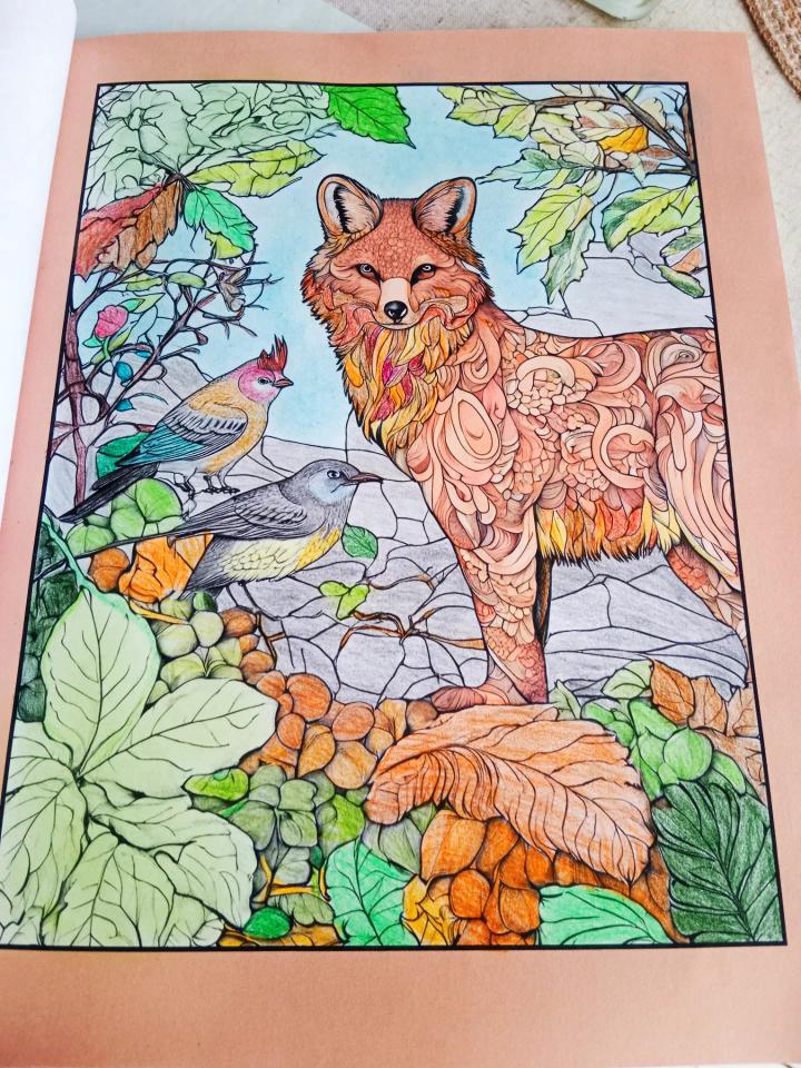 Livre de Mandalas et Dessins à colorier "un petit souffle d'automne" Adultes/Ados Livre de mandalas et dessins par Aenor Sylvelle, sur ce coloriage on peut voir un renard coloré parmi des feuilles et des oiseaux.